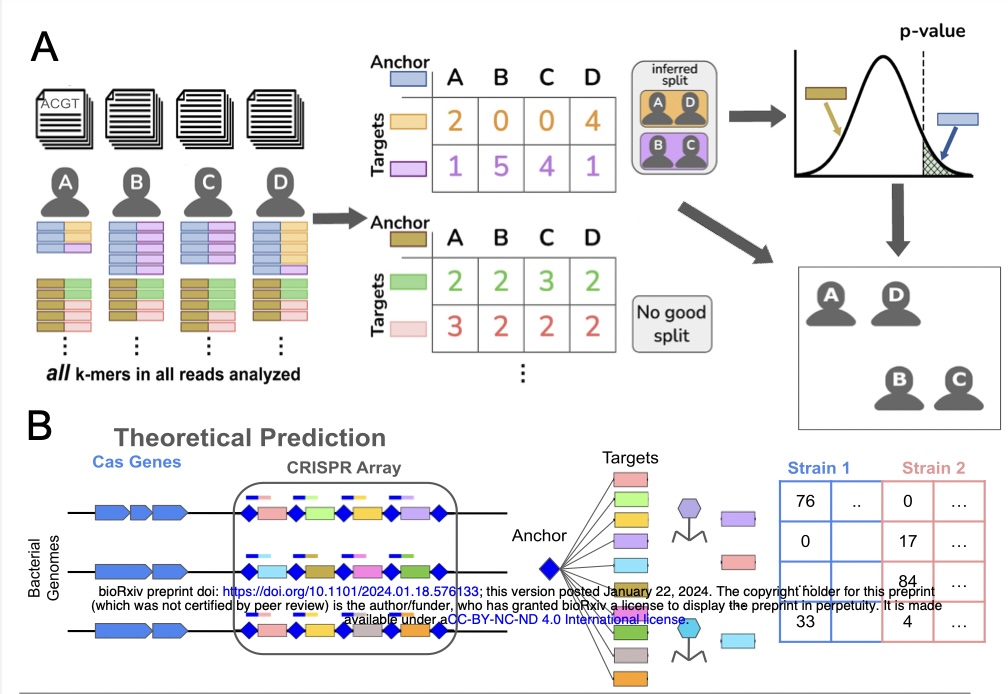 New paper from Julia Salzman in BioRxiv: Ultra-efficient, unified discovery from microbial sequencing with SPLASH and precise statistical assembly