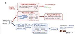 diagram of new method for detecting elements in viruses under selection.